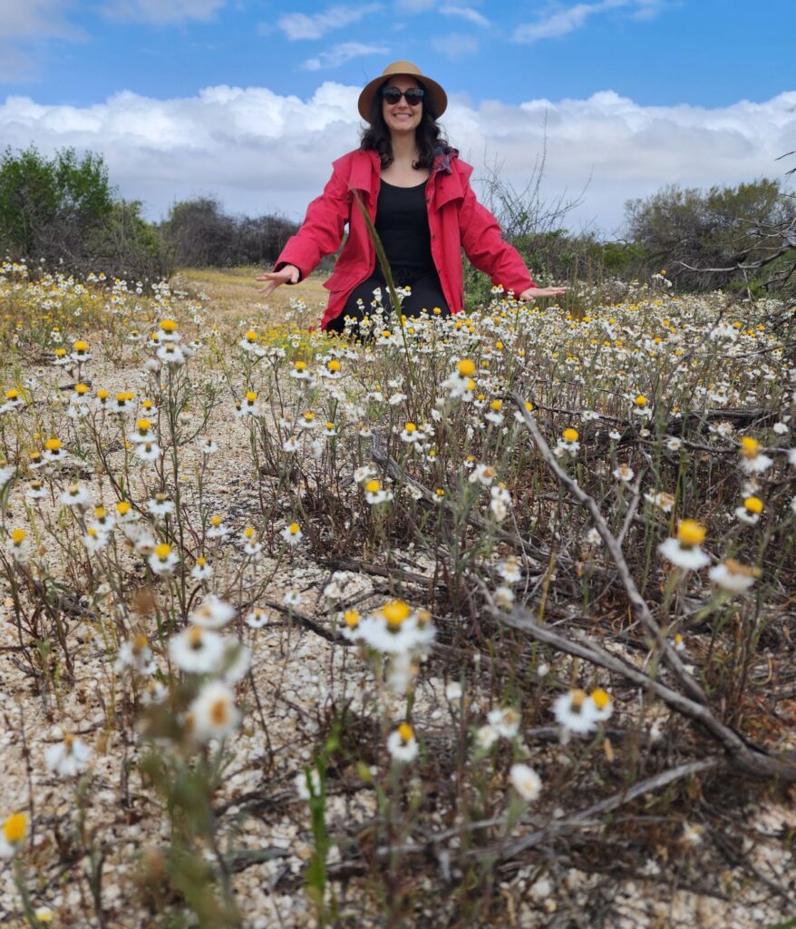 A girl in a red jacket and hat standing amongst native daisies